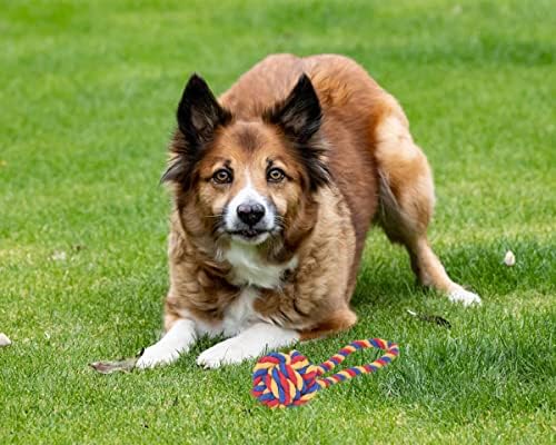 Играчка-Въже за кучета Crazy Опашките, Подаръчен Комплект за Играчки Отглеждане от 6 Опаковки, Дъвчене Играчка с Възел