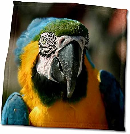 3d Рисунки Хенрика Ленерера - Животно - Портрет на един папагал Ара - Кърпи (twl-181334-3)