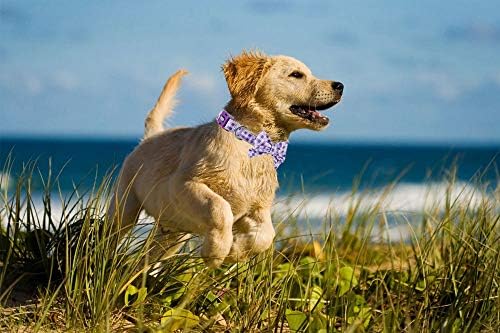 Нашийник за кучета Petiry от екологично чист естествен памук с пеперуда, Мека, лека, дишаща и полезен за малки и средни
