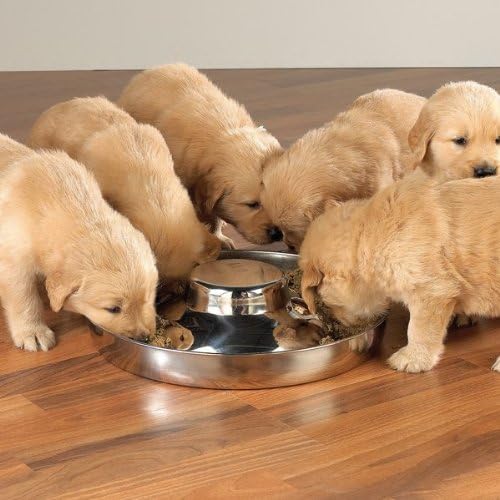 Изберете 14,5-инчови купа за кученца от неръждаема стомана