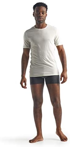 Мъжки t-shirt Anatomica с къс ръкав Icebreaker Merino Crew T-Shirt