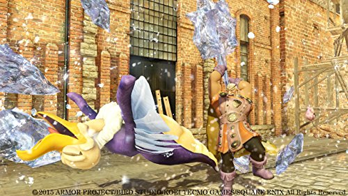 Героите на Dragon Quest: Горко на Световното дърво и Мор долу - Колекционерско издание - PlayStation 4