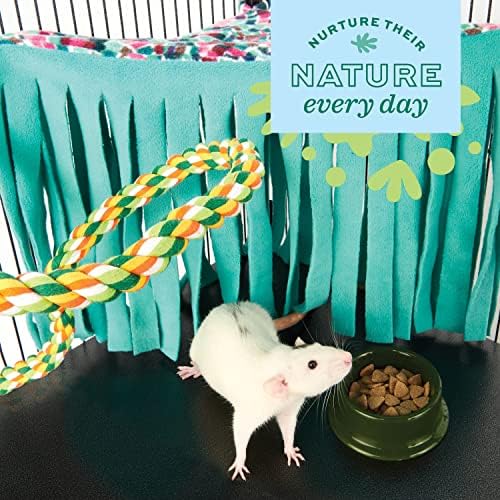 Аксесоари за малки животни Oxbow Enriched Life - Стартов комплект за обитаване на Мишки и Плъхове и набор от аксесоари