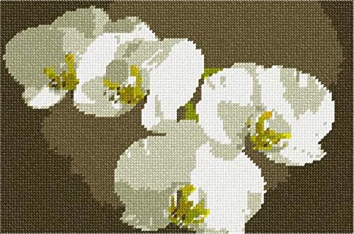 комплект за бродиране pepita: Бели Орхидеи, 10 x 7