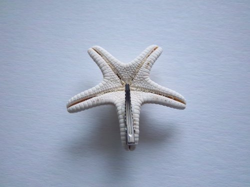 Комбиниран Комплект Обици от Акула зъби ръчно изработени и Заколок във формата на морски звезди