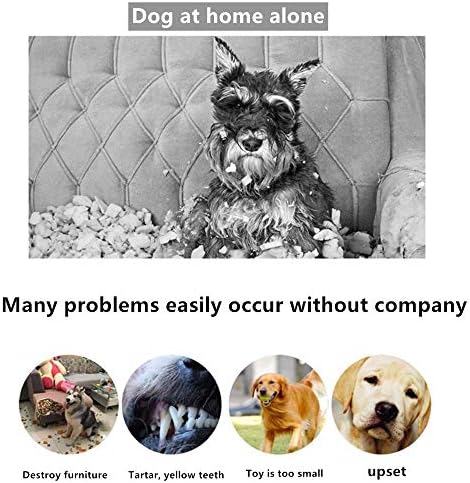 Универсална марка плюшен играчка за кучета с пищащим звук, мек пълнеж, подходящи за малки, средни и големи кучета (различни