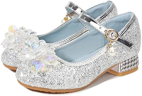 Рокля За малки момичета; Обувки-лодка с лъскави пайети; Принцеса с цветя модел На нисък Ток; Вечерни Танцови обувки със собствени
