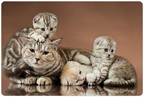 Подложка за домашни любимци Lunarable Cat Lover за храна и вода, 3 Коте с майката на Шотландските породи на