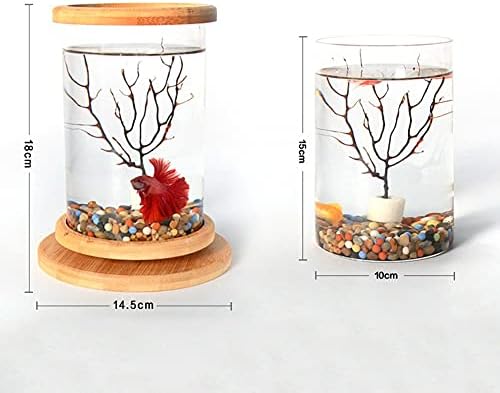 GHGHF Въртящи се на 360 градуса Стъклен Аквариум Betta с бамбукова основа, Мини-Украса за вашия аквариум, Въртяща се Купа за риба, Аксесоари за аквариума (Цвят: желязното д?