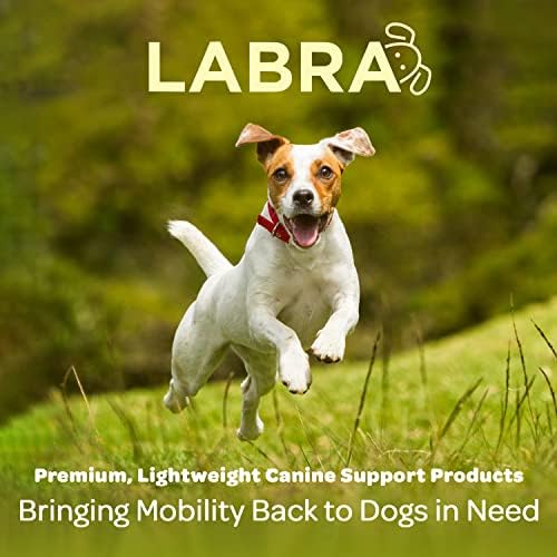 Компресиране превръзка от неопрен за скакателните стави гърба (задната част) на лапи Labra Dog Extra Supportive