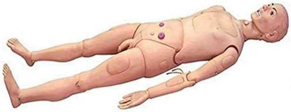 TUOZHE Мъжки и Дамски Анатомическая Модел на Човека Многофункционален Манекен за Грижа за Пациентите 170 см Симулатор