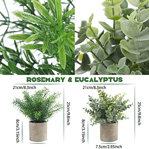 ALAGIRLS Малки Изкуствени Растения, Определени от 4 -те Сукуленти с Эвкалиптом и Розмарин, Изкуствени Растения