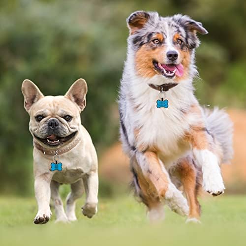 Petgent Актуализирани тагове за кучета с QR код, персонализирани, за да се домашни любимци, етикети за имена за кучета малки и големи домашни животни - Безшумен Силикон П