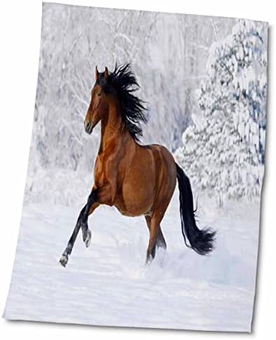 Животни 3dRose Florene - изображение на андалуския кон, скачущей галоп по снега - Кърпи (twl-171623-1)