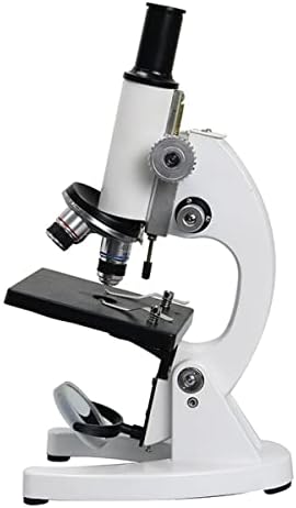 Аксесоари за микроскоп 40X-2000X Биологичен микроскоп Лаборатория с 5 Предметными стъкла, които са Подготвени за подобни действия, Лабораторни консумативи (Цвят: Добав