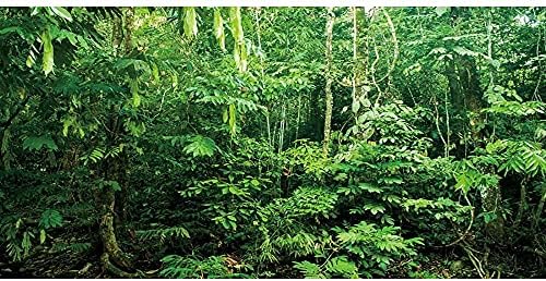 НЕВЕРОЯТНА Тропическа Гора на Фона на Терариума Дълбоко в Гората Фон за Аквариум Тропически Растения Дървета на Фона