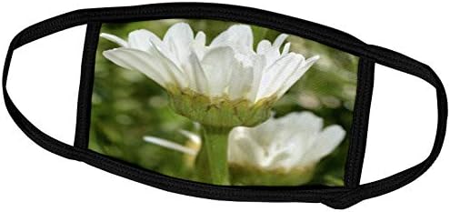 3. Цветя Патриции Сандърс - Красотата на маргаритки - Обложки за лице (fc_25133_2)
