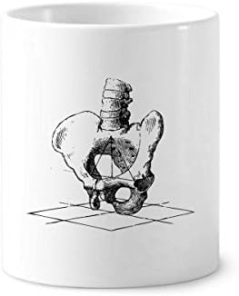 Бедренный Гръбначния Стълб Скица На Човешкия Скелет Четка За Зъби На Писалка Притежател Чаша Керамична Поставка