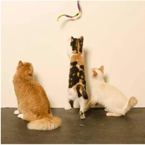 Комплект от 3 теми на Rainbow Cat Танцьорка-Вълшебна Пръчица за котки, Закачка-Играчка за котки и котенков!