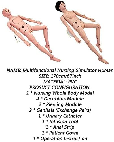 NIHE Анатомическая модел на Човек Медицинска Практика Модел на Обучение за медицински Сестри за здравно обучение