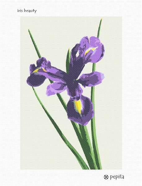 комплект за бродиране pepita: Iris Beauty, 9 x 14