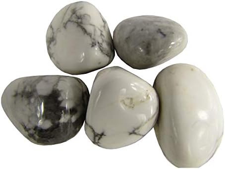 CircuitOffice 5 бр. Бели камъни с камъчета от говлита (0,75 - 1,25) - Камъните за лечение, Метафизично Лечение,