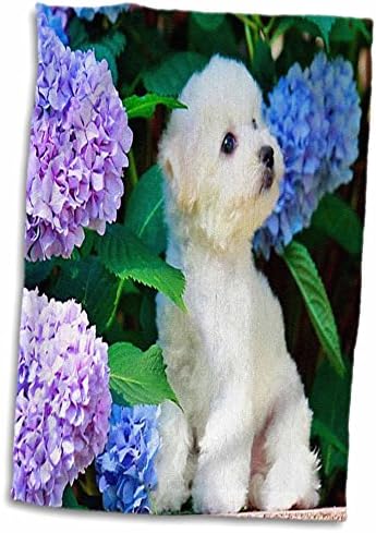 3D Розово Очарователно кърпа за ръце Bichon Frise Puppy Сред Hydrangeas/Спортно Кърпа, 15 x 22