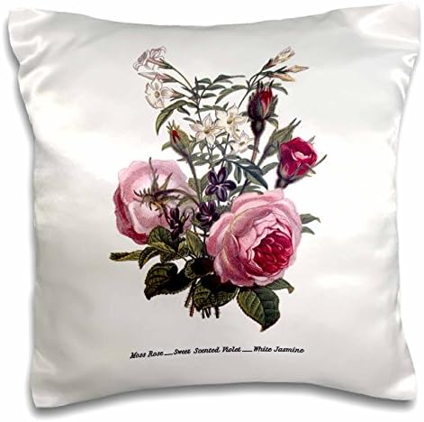 3dRose Реколта Мъх Роза Със Сладък Аромат на Цветя Теменужки и Жасмин в Розово-бяла калъфка, 16 x 16