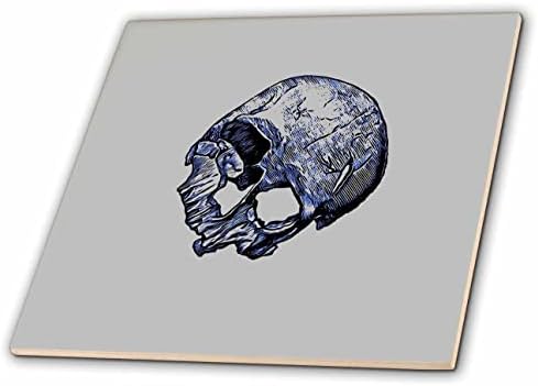 3dRose Taiche - Илюстрация - Череп - Разочарован от Човешки череп В стил татуировка - Плочки (ct_356949_7)