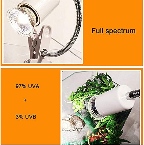 MaoTopCom Lighting 6 Бр., 75-Ваттная Крушка във формата на Костенурка, Топлинна лампа за Влечуги, E26/E27, Лампа