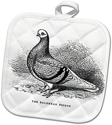 3dRose Ретро Гълъб Художествена Илюстрация на плешивото Необикновена порода на птиците. - Кухненски ръкавици (phl-364643-1)