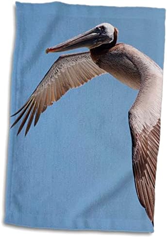 3дРоуз Данита Делимон - Птици - Пеликан, летящ над Тихоокеанским крайбрежие. - Кърпи (twl-206258-3)