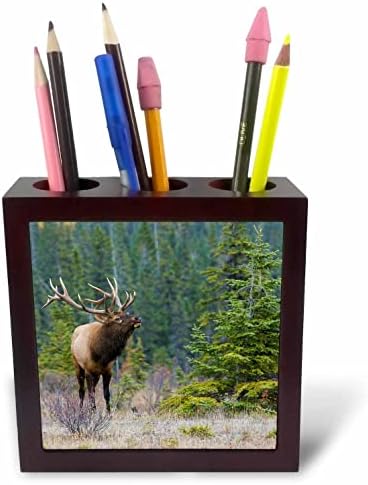 3d Поставка за химикалки Malcho Delimont - Elk - Величествен Бик -лосове (ph-367102-1)