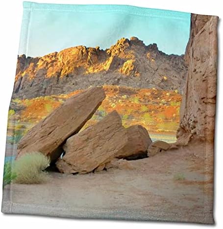 3D Пейзаж на пустинята Роза Флорен - Пустинята Невада - Кърпи (twl-28378-1)