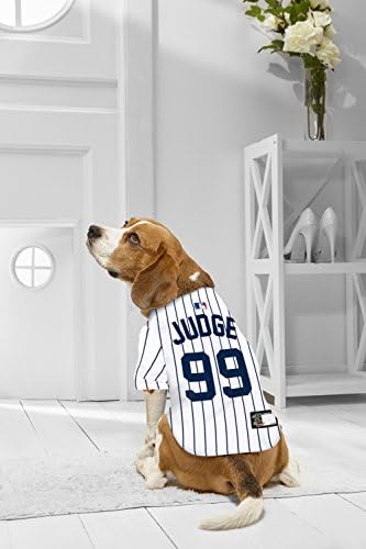 Екипировка MLBPA за ДОМАШНИ любимци, за кучета и котки. Най-големият Избор на спортна Бейзболна Дрехи и Аксесоари за домашни любимци, Лицензирани MLBPA. На разположение ?