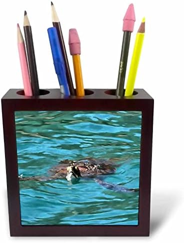 3. Поставка за писалки за художествени плочки с изображение на дивата природа от морска костенурка (ph-371421-1)