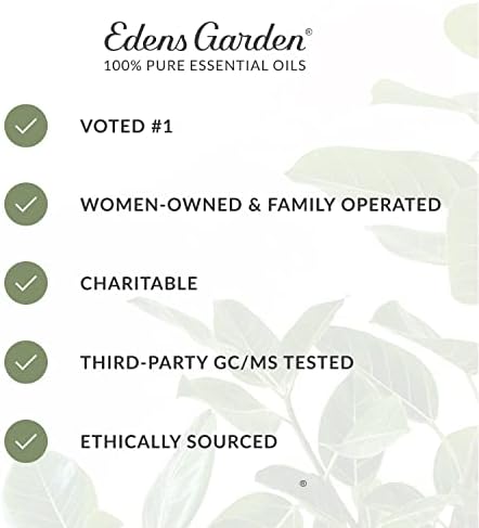 Набор от етерични масла Edens Garden Energy & Focus 6, Най- Чист Стартов комплект за ароматерапия (за дифузия