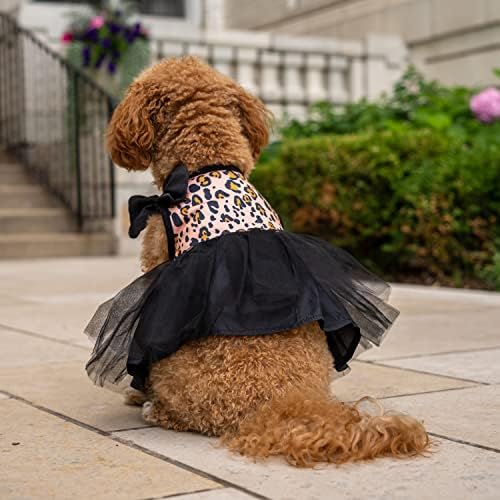 Карнавалните костюми на Christian Siriano New York Черен цвят с домашен Любимец Принтом за кучета, XS