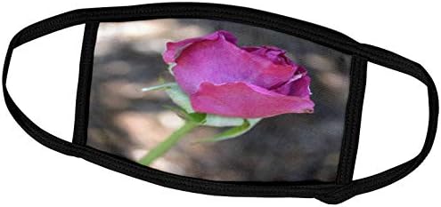 3дРоза Цветове Патриции Сандърс - Красотата на розова роза II - Обложки за лице (fc_25141_2)