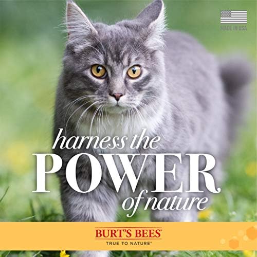 Бърт Bees за котки Хипоалергичен Шампоан и Кърпи за Грижа за Коса Котки - Шампоан и Кърпи за Грижа за Коса Котки, Аксесоари
