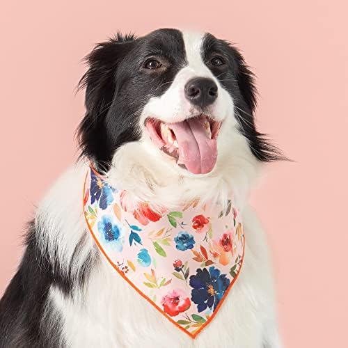 Кърпа за кучета Paws Wishes, 2 опаковки, Набор от цветя и листа, Ретро Градина, Удобен За домашни любимци Дизайн, Защита