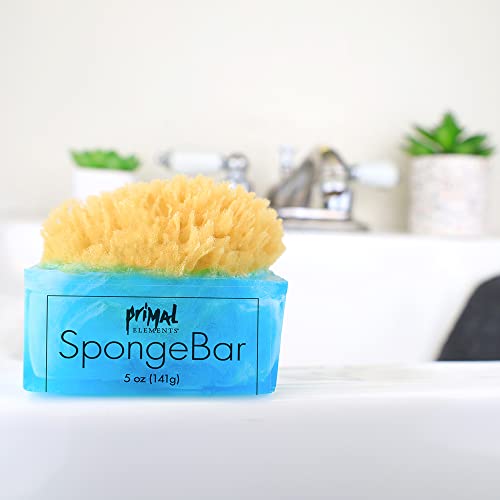Сапун Primal Elements Facets of the Sea SpongeBar Soap (Опаковка от 2 броя)