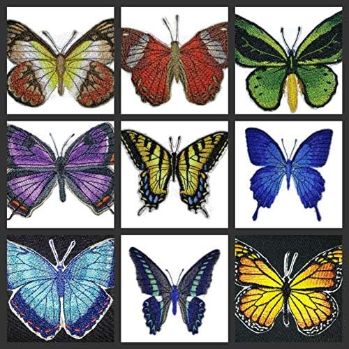 Обичай Невероятни и уникални многоцветни пеперуди [Обичайното зелено птичето крило], Бродирани желязо нашивке [4,2 x 2,673] Произведено в САЩ]