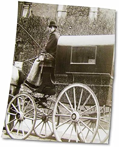 3dRose Реколта карета и Coachman, Запряженные коне в стила на британската епохата на крал Едуард 1902 г. - Кърпи (twl-269855-3)