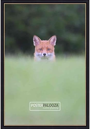Плакат Palooza 8,5x11 в традиционната Черна дървена рамка за снимки или документи с UV акрил, подложка от пяна и фитинги