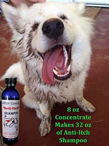 Натурален шампоан за кучета за суха, чувствителна към зуду кожа - формула за облекчаване на алергии. Куче на ваната за