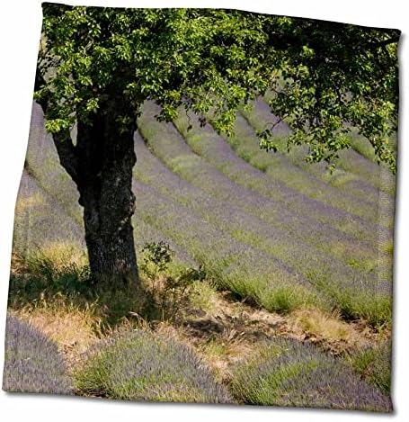3dRose Lavender, Монбрен-ле-Бен, Прованс, Франция - Кърпи (twl-227324-3)