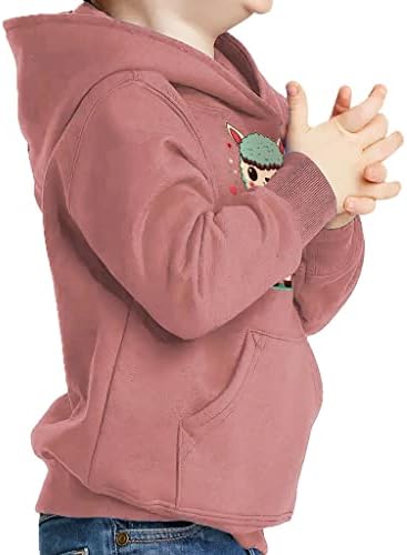 Община стрелча, цветен детски пуловер hoody с качулка - цвете гъба руно сива врана - една карикатура за деца