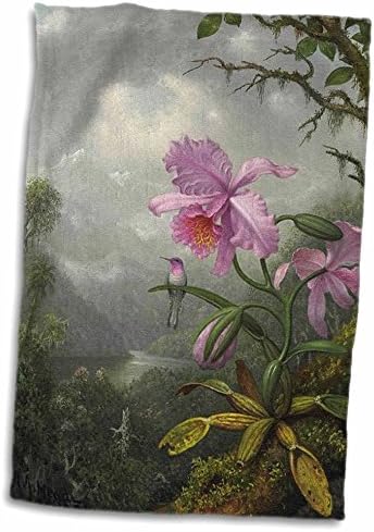 3D Изображение на рози Хедса, Рисующего Колибри 1800-те години На Кърпа за ръце с една орхидея, 15 x 22