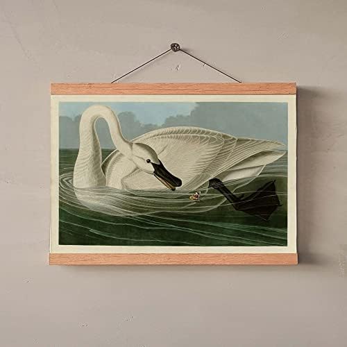 Ujoyful Ретро Арт принт с Бял Лебед |Комплект от 2 Старинни стенни рисунки с Бели птици| Декор под формата на Крайбрежна